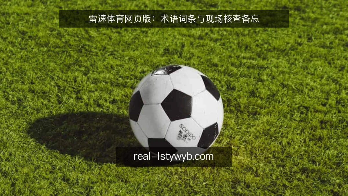 雷速体育网页版:术语词条与现场核查备忘