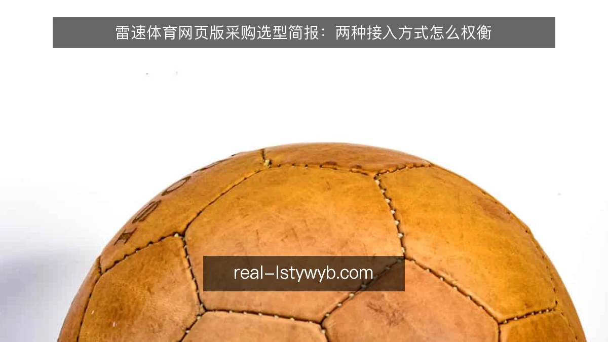 雷速体育网页版采购选型简报:两种接入方式怎么权衡