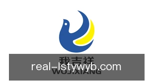 雷速体育网页版